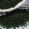 MIYUKI Round Rocailles Beads X-SEED-G009-RR0306-1