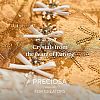 Preciosa® MAXIMA Crystal No Hotfix Flatback Stones Y-PRC-NSS16-60010-5