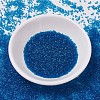 MIYUKI Delica Beads SEED-X0054-DB0714-2