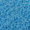 MIYUKI Round Rocailles Beads SEED-JP0010-RR0433-3
