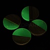 Luminous Glow in the Dark Wood & Resin Pendant WOOD-H104-05-4