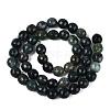 Natural Moss Agate Beads Strands G-Q606-42A-01-3