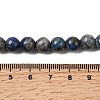 Natural Lapis Lazuli Beads Strands G-J396-8mm-4