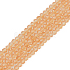 Glass Beads Strands EGLA-A034-T2mm-D23-1