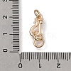 Brass Hooks KK-CBA0DF0-19B-KCG-3