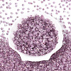 Transparent Inside Colours Glass Seed Beads SEED-T007-13J-1