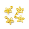 Rack Plating Alloy Charms FIND-G045-05MG-3