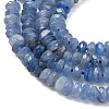 Natural Kyanite Beads Strands G-K376-E04-02-4