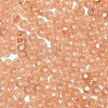 8/0 Glass Seed Beads SEED-Z001-C-E10-3
