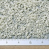 MIYUKI Round Rocailles Beads SEED-JP0008-RR0491-4