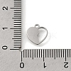 304 Stainless Steel Charms STAS-S178-02P-3