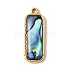 Paua Shell Pendants SSHEL-B145-01B-G-1