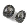 Natural Glaucophane Beads G-G348-01B-43-2