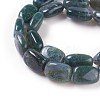 Natural Moss Agate Beads Strands G-I231-06-3