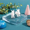 2Pcs Transparent Acrylic Display Decorations DJEW-CN0001-50-6
