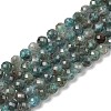 Natural Apatite Beads Strands G-G189-D02-07-1