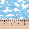 Baking Paint Glass Seed Beads SEED-L011-09A-06-4