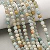 Natural Flower Amazonite Beads Strands G-F818-A01-6mm-1