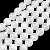 Natural Selenite Beads Strands G-L552H-16D-2