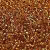 TOHO 6/0 Round Beads X-SEED-TR06-0022B-3