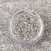 Glass Seed Beads X-SEED-S042-04B-06-2