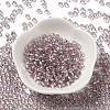 Glass Seed Beads SEED-H002-C-A044-2