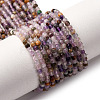 Natural Amethyst Lace Agate Bead Strands G-L629-B08-2mm-2