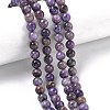 Natural Charoite Beads Strands G-C270-O02-04-1