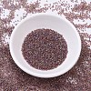 MIYUKI Delica Beads SEED-X0054-DB0091-2