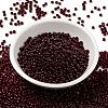 MIYUKI Round Rocailles Beads SEED-X0055-RR0141D-2