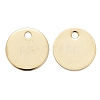 304 Stainless Steel Charms STAS-F174-06G-1