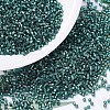 MIYUKI Delica Beads SEED-X0054-DB0607-1