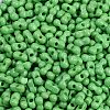 Baking Paint Glass Seed Beads X1-SEED-K010-A27-2