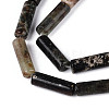 Natural Biotite Beads Strands G-T141-74-3