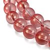 Frosted Transparent Glass Bead Strands GLAA-P065-10mm-06-4