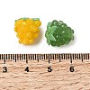 Handmade Lampwork Beads LAMP-G169-02-4