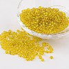 8/0 Glass Seed Beads X-SEED-A005-3mm-30-1