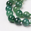 Natural Dyed Agate Beads Necklaces NJEW-F139-10mm-17-2