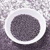 MIYUKI Delica Beads SEED-X0054-DB1205-2