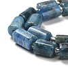 Natural Apatite Beads Strands G-N327-06-27-4