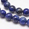 Natural Lapis Lazuli Round Bead Strands X-G-E262-01-8mm-2