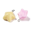 Opaque Resin Pendants RESI-H162-07P-02-2