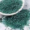 MIYUKI Round Rocailles Beads X-SEED-G008-RR2445-1