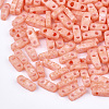 2-Hole Baking Paint Glass Seed Beads SEED-S023-17A-04-1