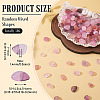 50G Transparent Acrylic Beads TACR-TA0001-62F-3