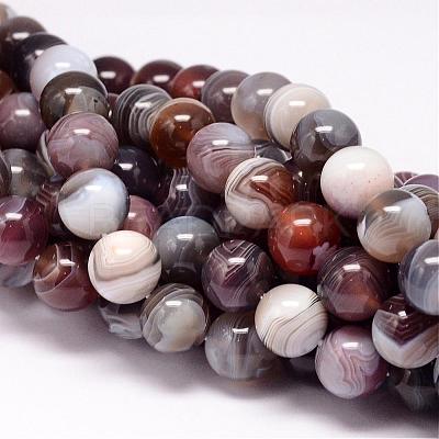 Natural Botswana Agate Beads Strands G-P132-05-10mm-1