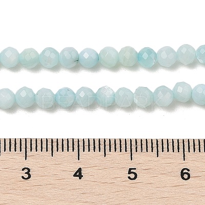 Natural Freshwater Shell Dyed Beads Strands SHEL-R100-12A-02-1