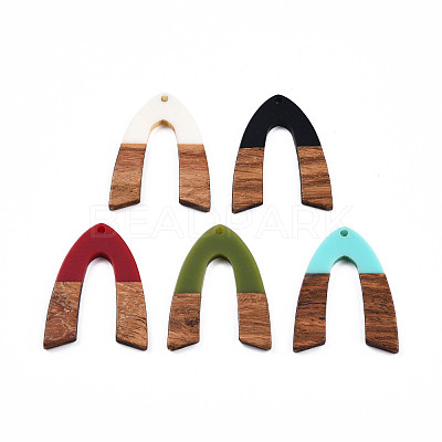Opaque Resin & Walnut Wood Pendants RESI-N025-029-B-1