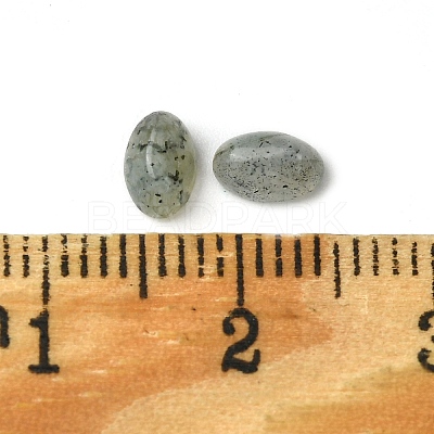 Natural Labradorite Cabochons G-A094-01A-11-1