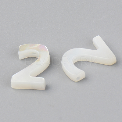 Natural White Shell Mother of Pearl Shell Charms SSHEL-R048-004-02-1